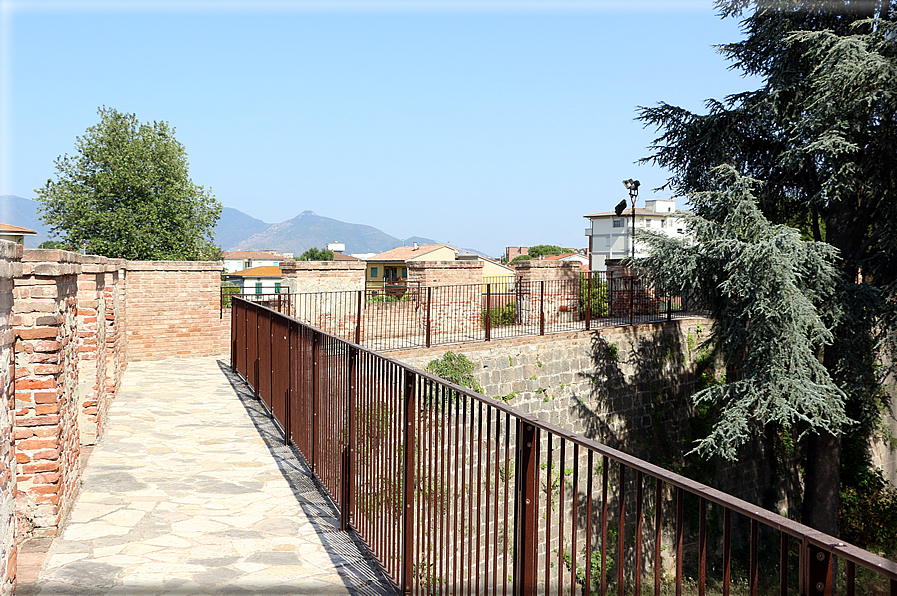 foto Camminamento delle mura di Pisa